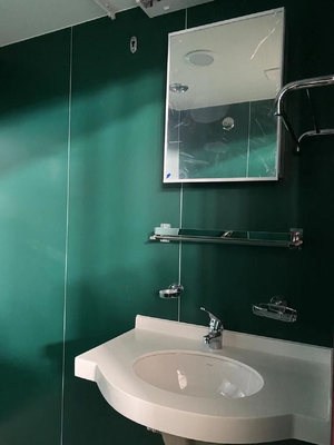 comprare Progettazione modulare pronta del pannello della toilette resistente al fuoco fabbricazione online